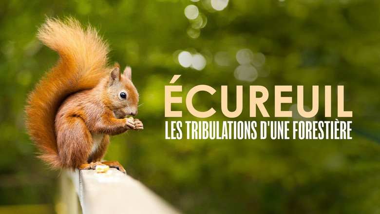Écureuil : Les Tribulations d'une forestière still 2