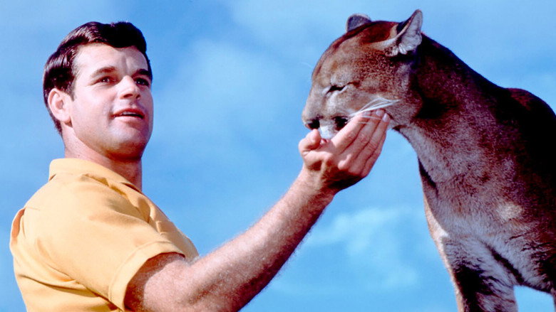 Charlie, the Lonesome Cougar still 2