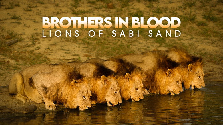 Brothers in Blood: The Lions of Sabi Sand still 4