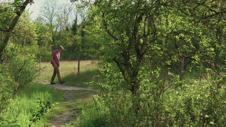 Les herbes still 8