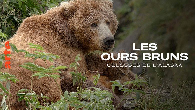 Alaska's Giant Bears still 3