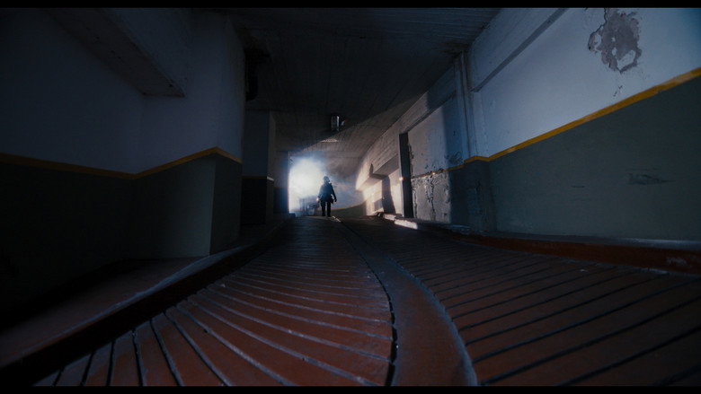 MANDRIL still 1
