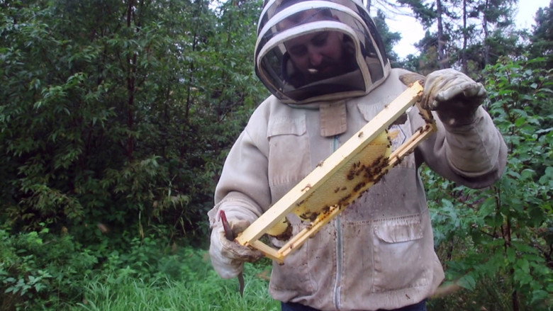 The Bearded Beekeeper still 1