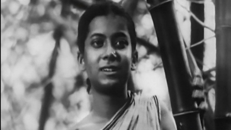 Pather Panchali still 8