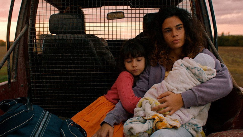 Gipsy Queen still 6