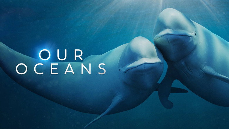 Our Oceans still 5