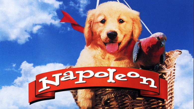 Napoleon still 4