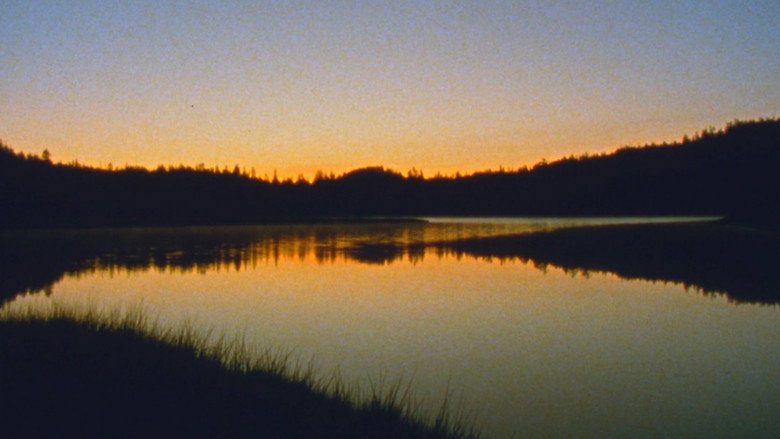 Jasper Beach and The Salt Marsh still 2