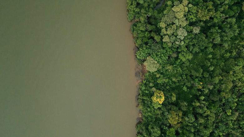 DAMS AMONG US still 1