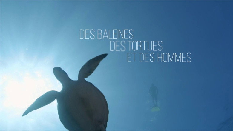 Des baleines, des tortues et des hommes still 2