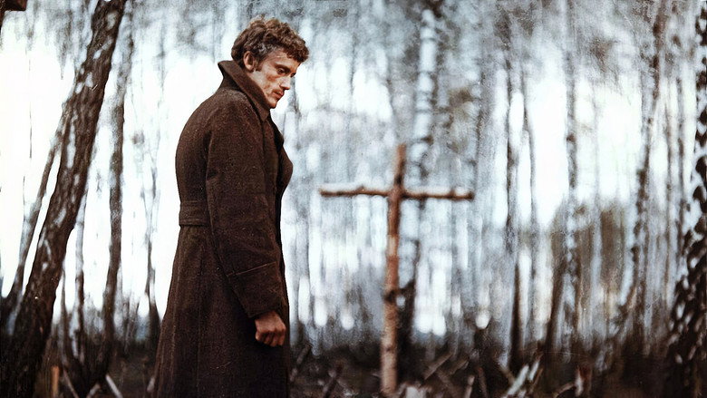 The Birch Wood still 5