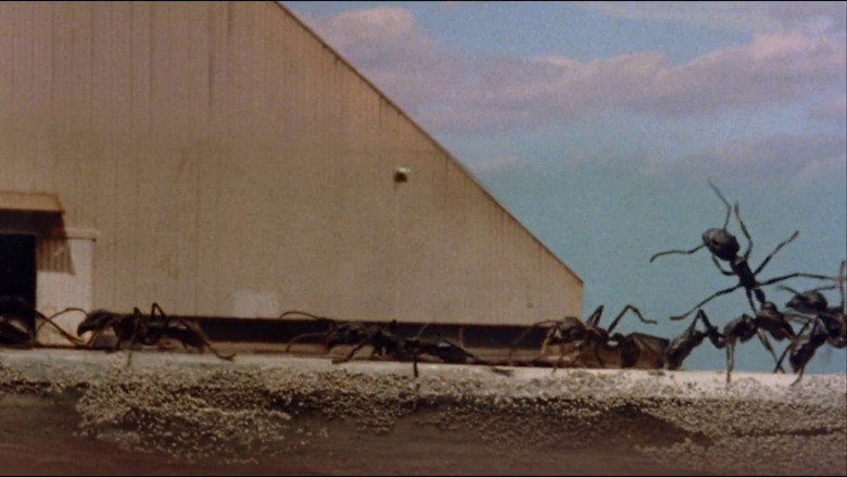 Empire of the Ants still 6
