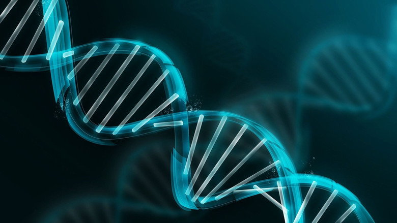 Lieven Scheire: DNA still 4