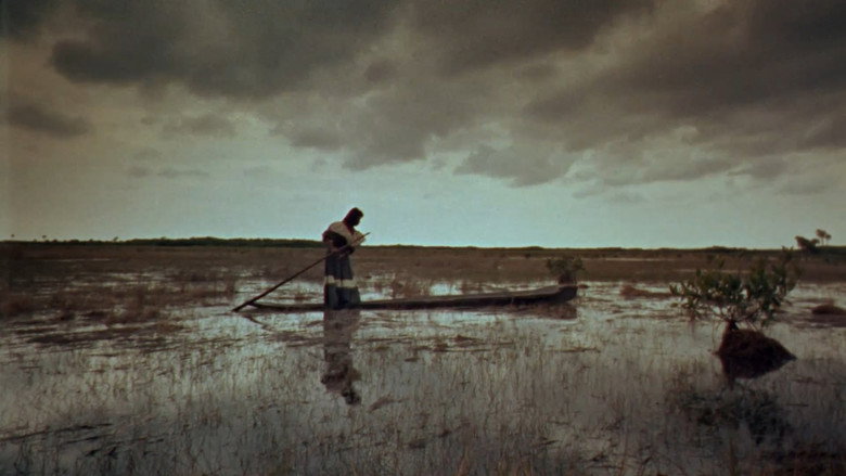 Wind Across the Everglades still 7