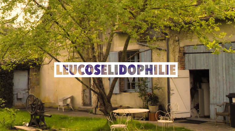 Leucosélidophilie still 1