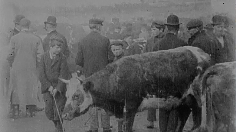 Cattle Market in Derry still 1