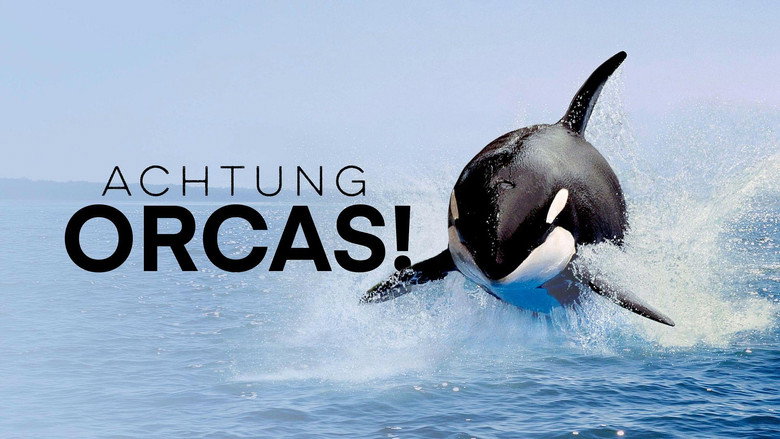Watch Out for Orcas! Danger Off Gibraltar? still 3