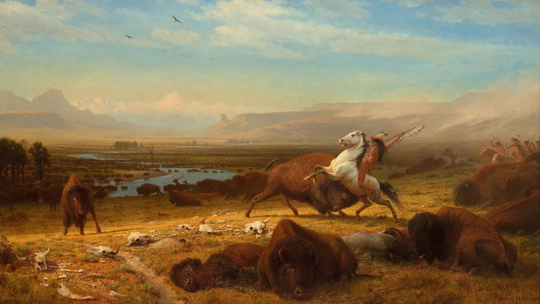 The American Buffalo still 7