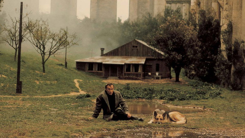 Nostalgia still 8