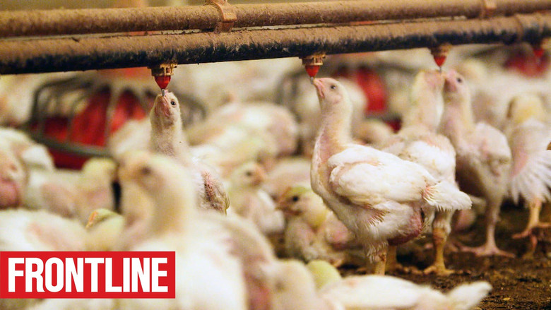 The Trouble with Antibiotics still 1
