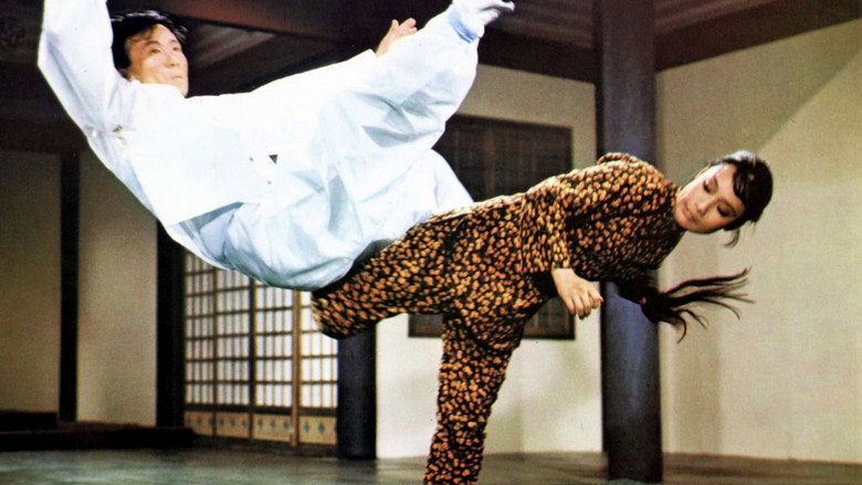 Hapkido still 4