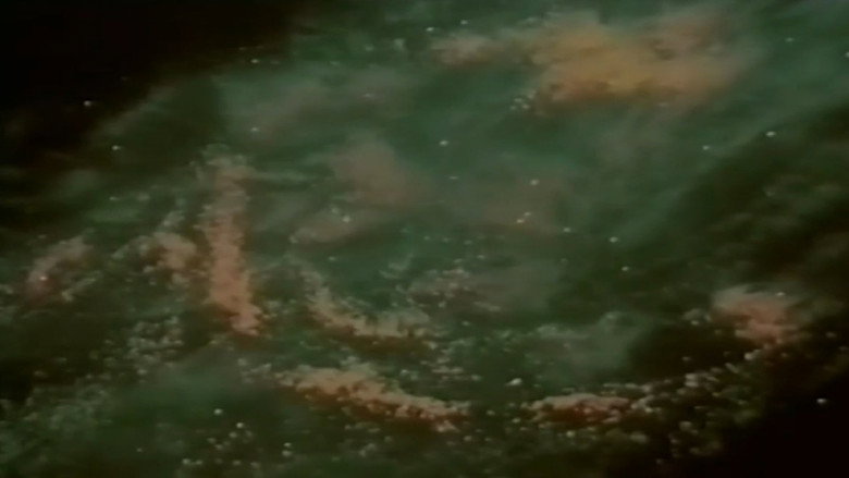 The Contact still 7