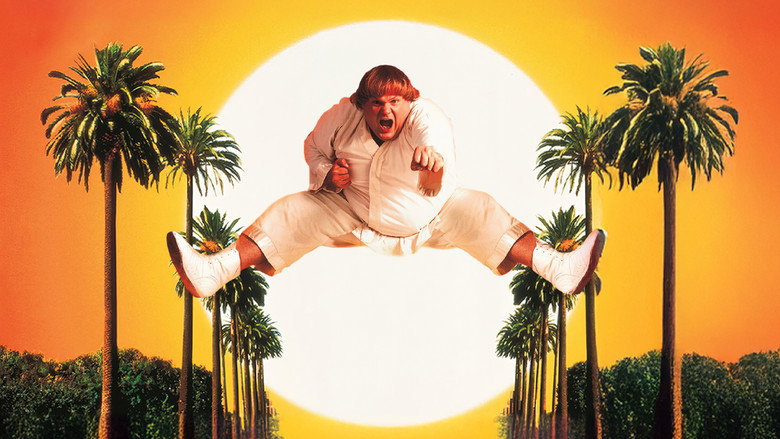 Beverly Hills Ninja still 8