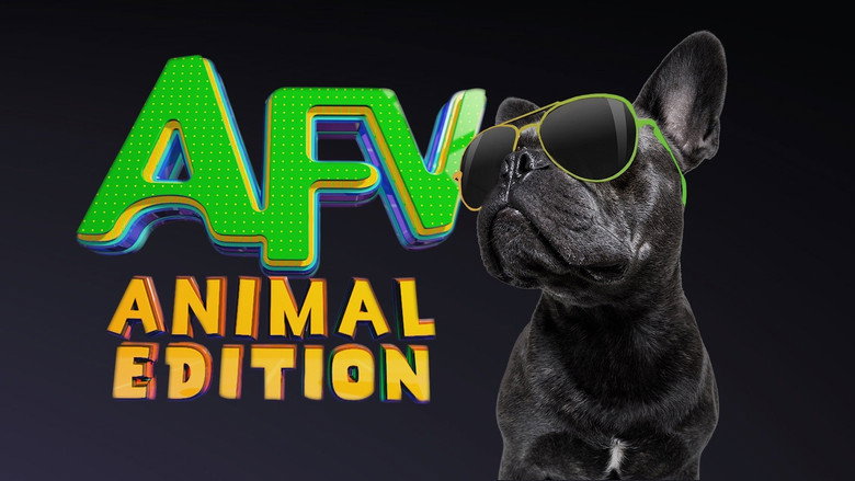 America's Funniest Home Videos: Animal Edition still 5