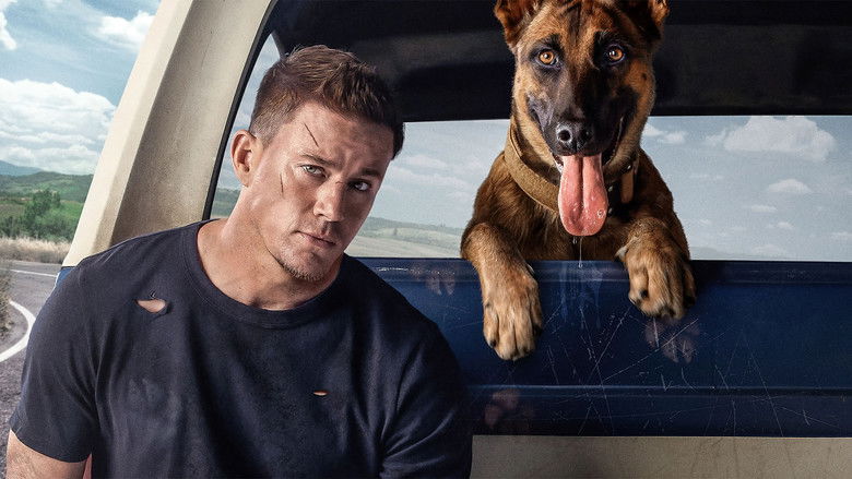 Dog still 2