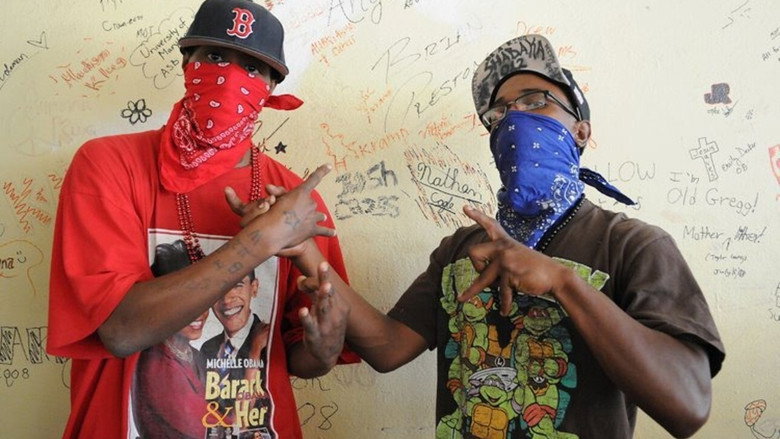 Crips and Bloods: Made in America still 3