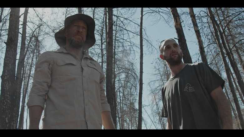 Pines still 8