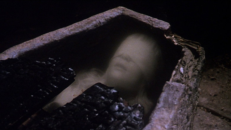 The Watcher in the Woods still 8