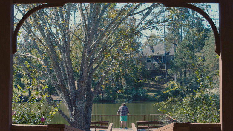 Money Tree still 5