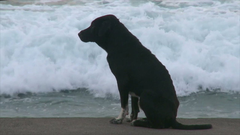 Bali: Island of the Dogs still 1
