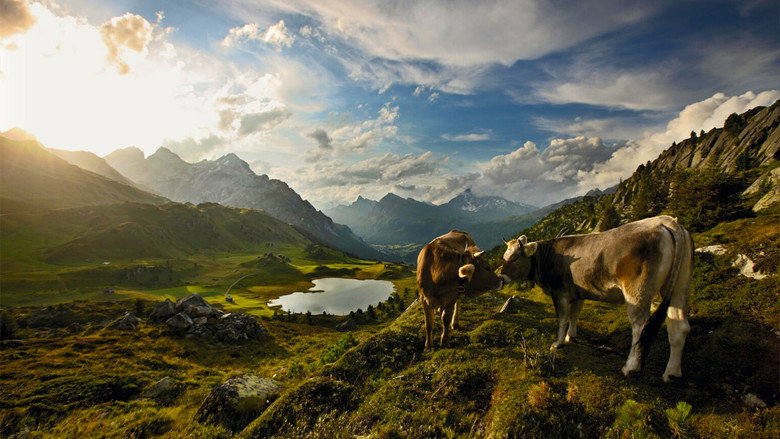 Wild Faces of Switzerland still 2