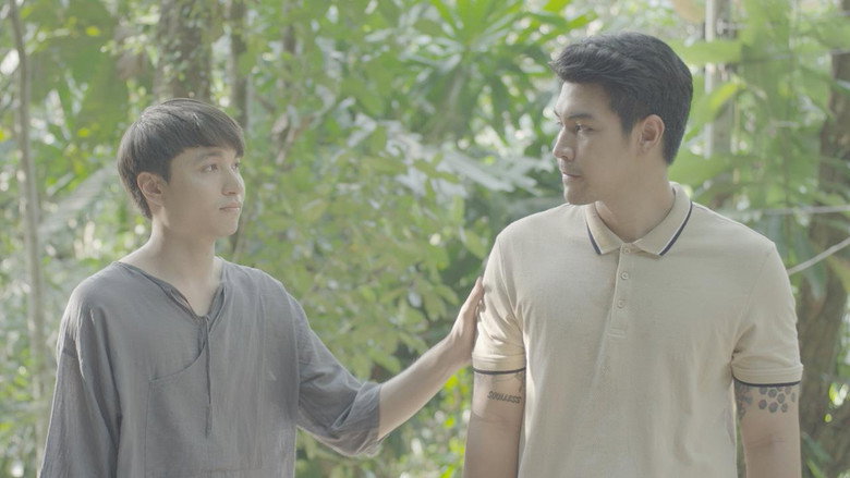 Present Still Perfect still 6