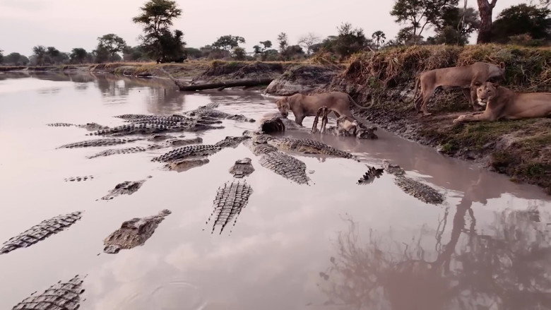 Katavi Africa's Fallen Paradise still 4