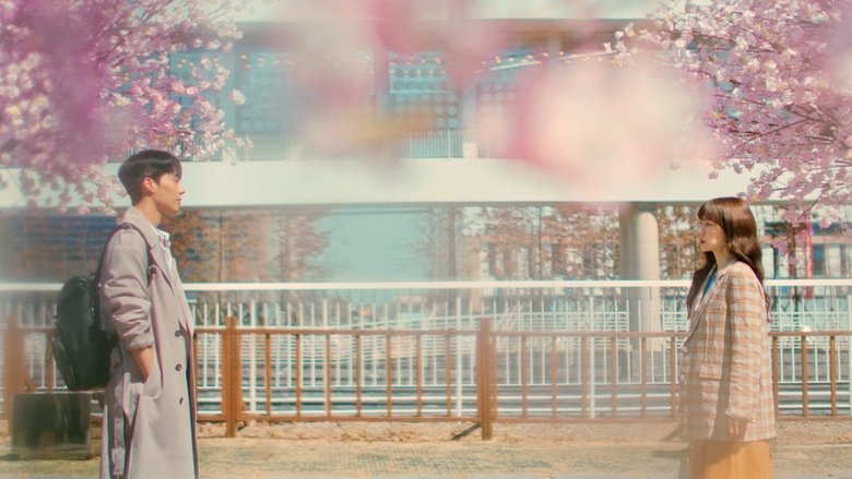 Search: WWW still 1