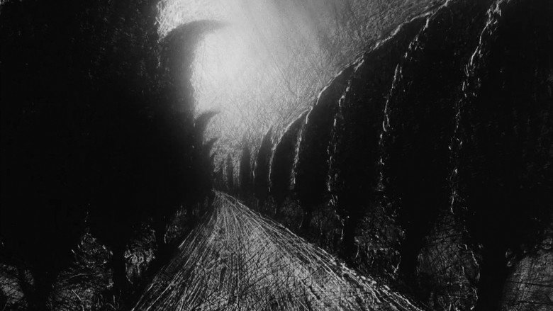 Franz Kafka still 2