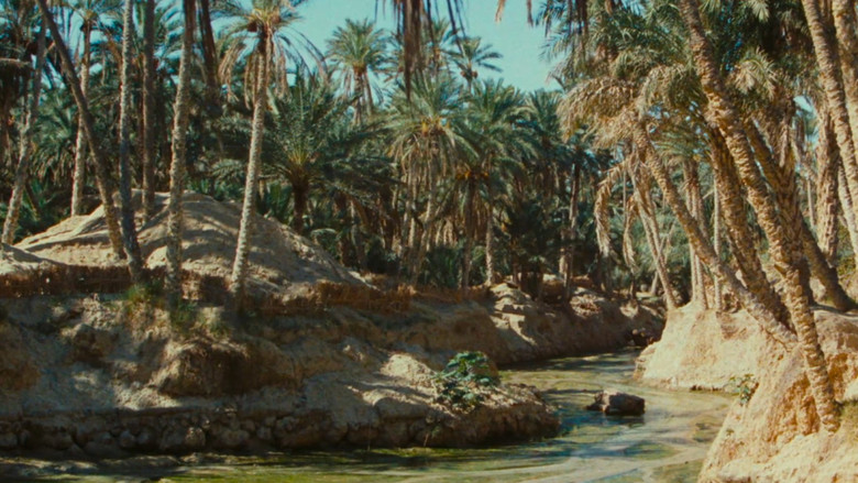 Zaa, the Little White Camel still 1
