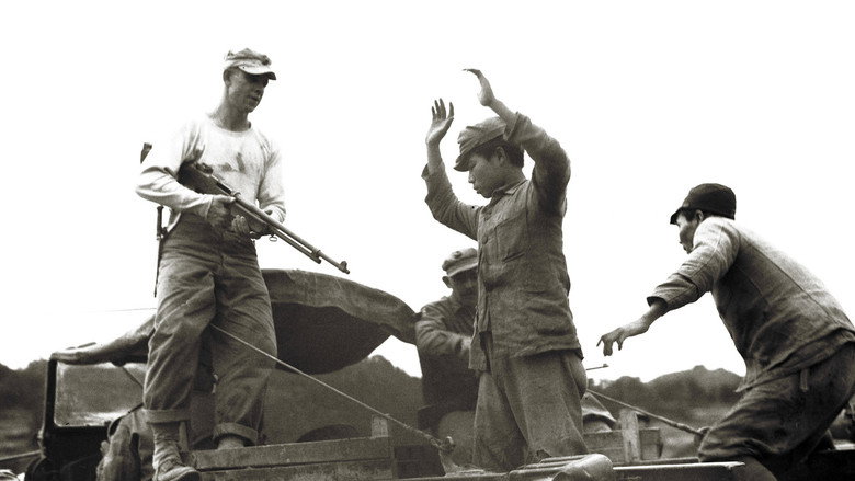 Boy Soldiers: The Secret War In Okinawa still 1