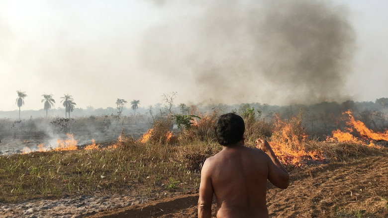 Fire in the Forest still 1