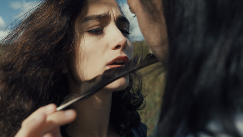 Pilgrim still 2