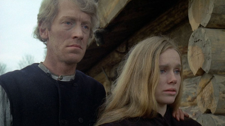 The New Land still 5