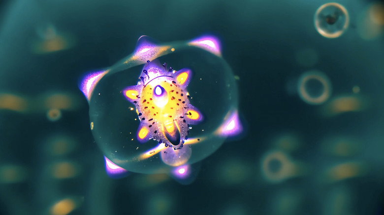 Radiolaria: A Symphony of Microcosmic Dream still 2
