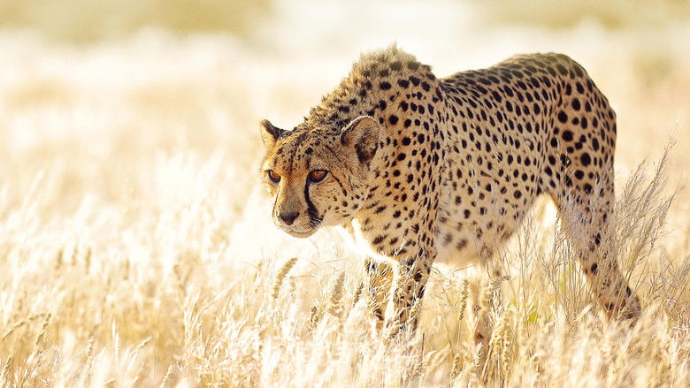 The Hunt still 2