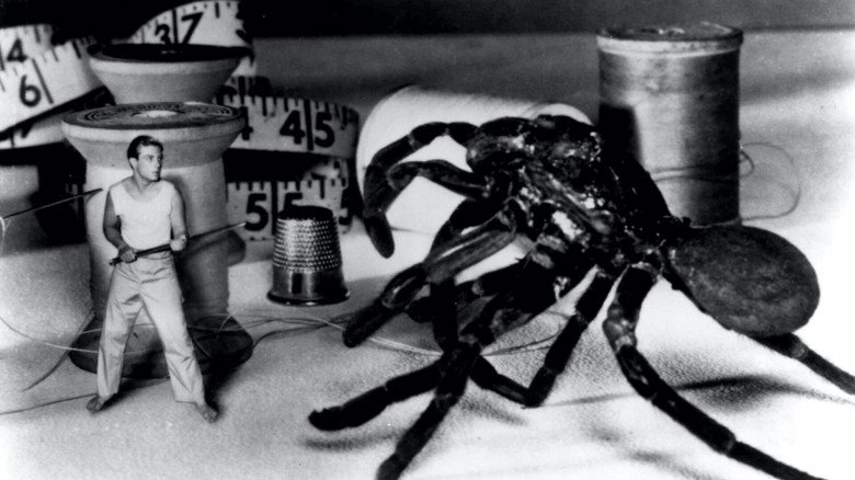 The Incredible Shrinking Man still 1