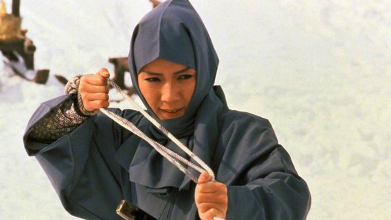 The Shogun's Vault III still 4
