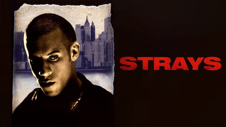 Strays still 2