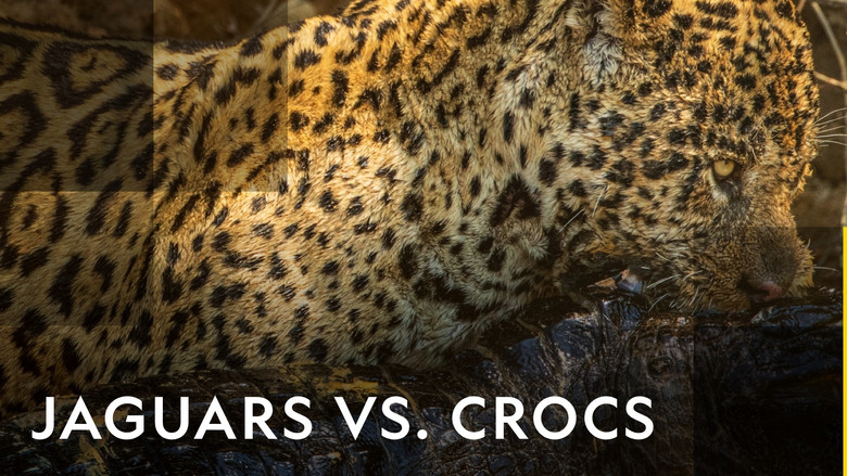 Jaguar vs. Croc still 3
